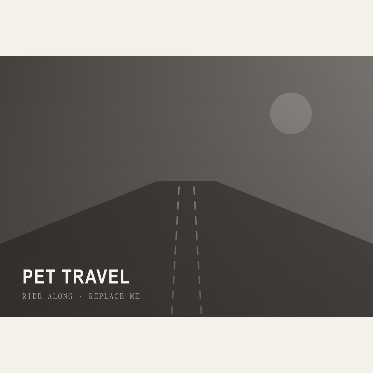 Pet in the Car: Small Upgrades That Actually Help
